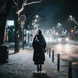 你说爱了不该爱的人