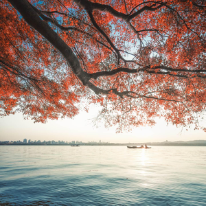 西湖水（竖琴环绕版）