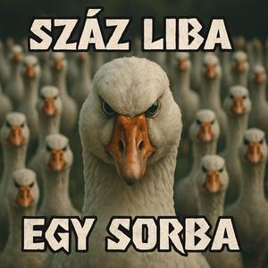 Hová mégy te kis nyulacska? (Legyen mar egy jó szám az albumon)