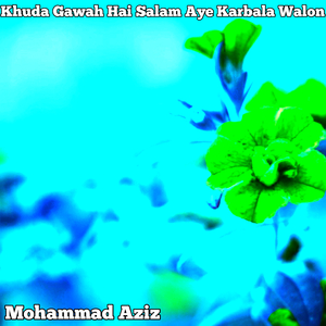 Khuda Gawah Hai Salam Aye Karbala Walon
