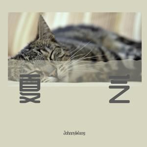 你是我的玫瑰花（萨克斯版）