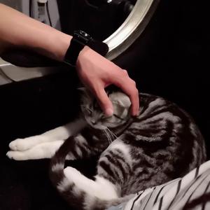 一琳
