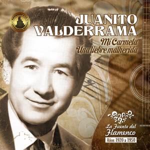 Ni Las Palmas, ni el Dinero (Fandangos)