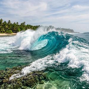 Tropical Wave