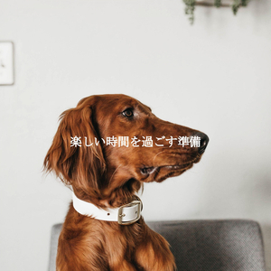 Grand Ambiance for Fun Stories