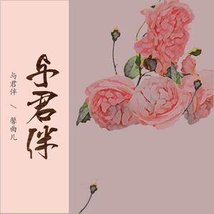 与君伴