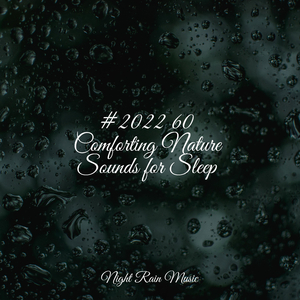 Rain, Light Metal, Window Pane