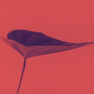 诗意的宁静节奏