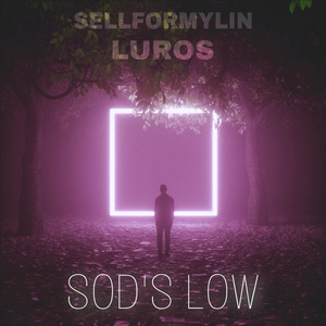 Sod's Low
