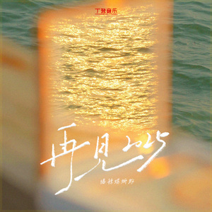再见2025（降速版）