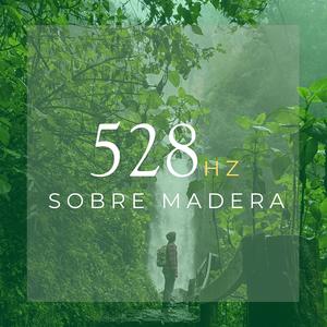 Armonía Serena 528