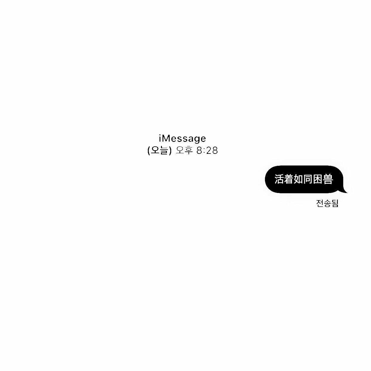 18602637232538852.jpg