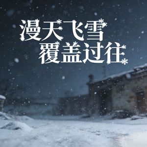 漫天飞雪覆盖过往