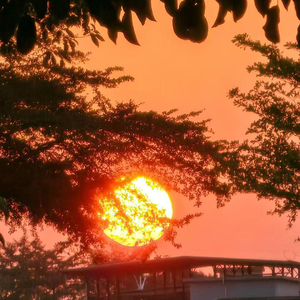 原来浪漫 是和你浪费每个朝夕