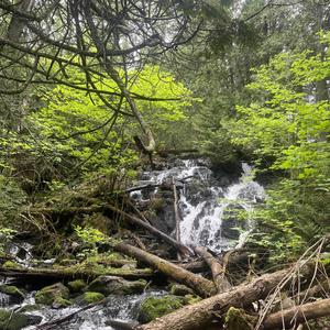 Wrong (feat. Grave Pact)