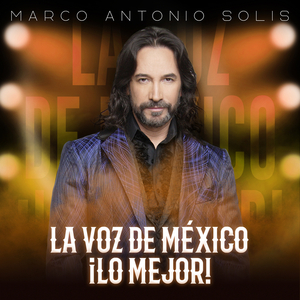 Si No Te Hubieras Ido