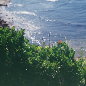 ベクトル (feat. 裏命)