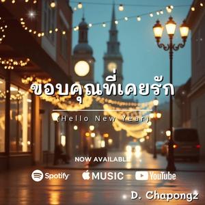 ขอบคุณที่เคยรัก (Hello New Year)