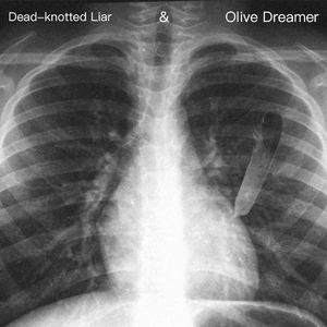 晚春（cover 腰）