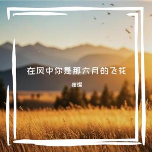 在风中你是那六月的飞花-整曲
