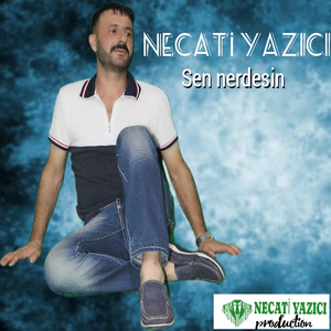 Sen Nerdesi̇n