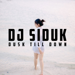 Dusk Till Down (Slowed And Reverb)