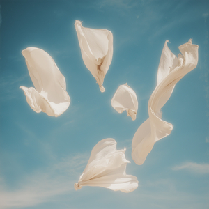 Magnolias (Piano)