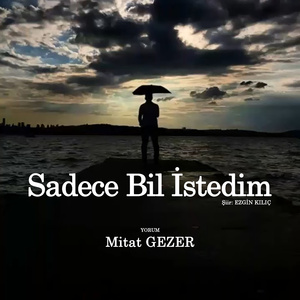 Sadece Bil İstedim