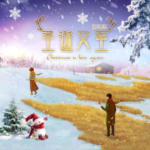 圣诞又至
