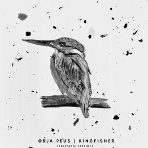 Kingfisher (Cinematic Version)