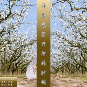 每当梨花开放的时候