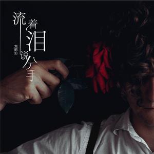 流着泪说分手