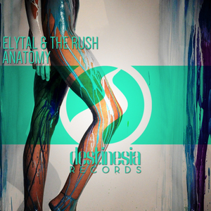 Anatomy (Original Mix)