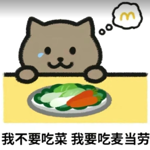 胖猫 、一路走好