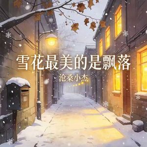 雪花最美的是飘落