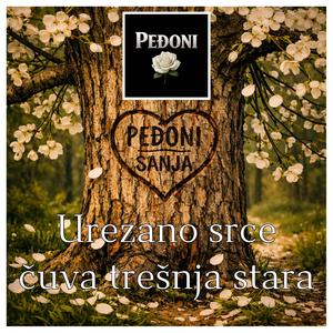 Urezano srce čuva trešnja stara