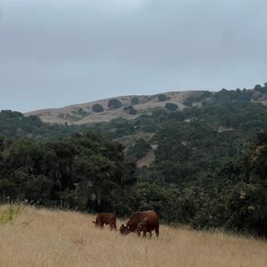 Maybe It Will Make Sense