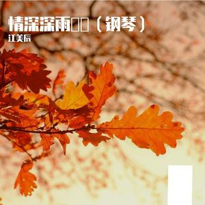 情深深雨蒙蒙（钢琴）