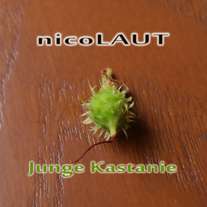 Junge Kastanie