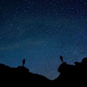 念（prod by.Tr1p1e1）