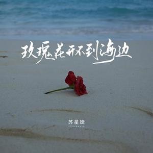 玫瑰花开不到海边