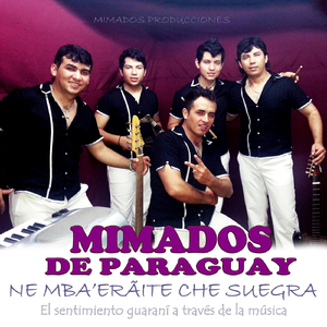 Saludo A Villarrica