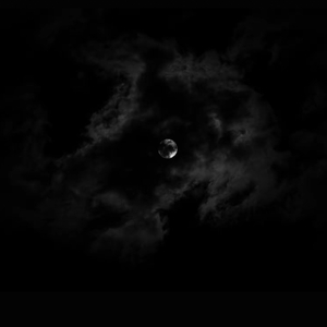 把我的爱丢进没有光的下水道