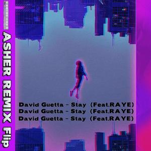 David Guetta - Stay (Dont Go Away) （ASHER Flip)