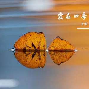 爱在四季