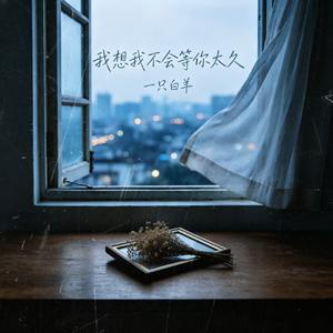我想我不会等你太久