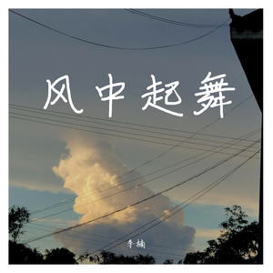 风中起舞