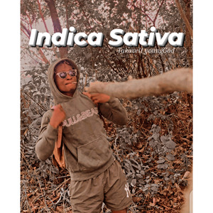 Indica Sativa