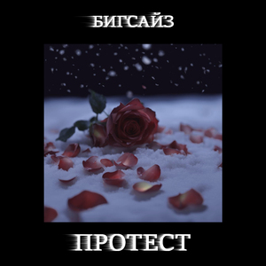 Протест