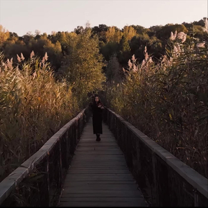 P a s ă r e a (feat. Alex Arcuș)